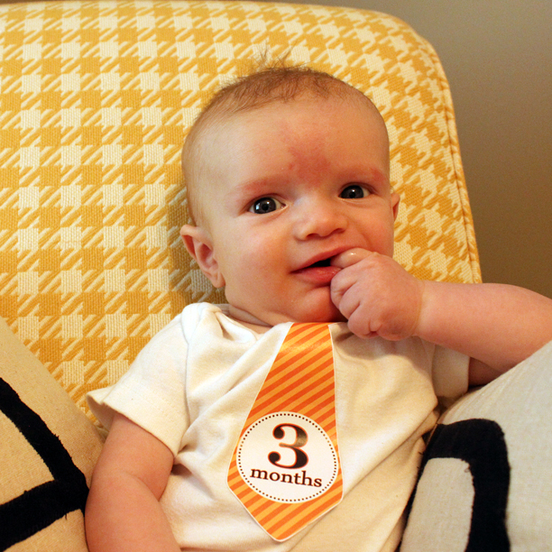 Gatsby is three months old @ohbotherblog