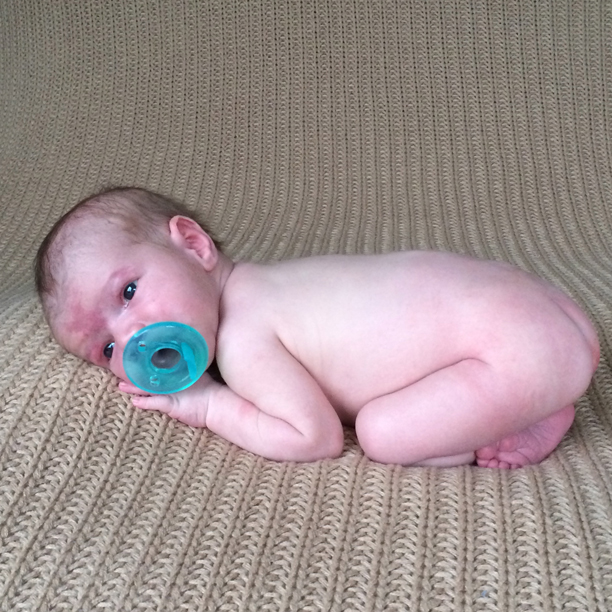 this week in&nbsp;photos