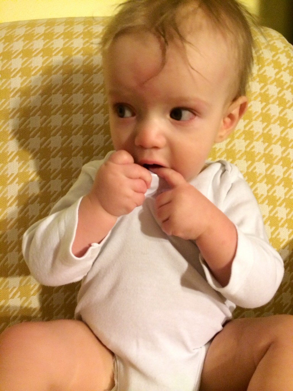 happy 8 months GB @ohbotherblog