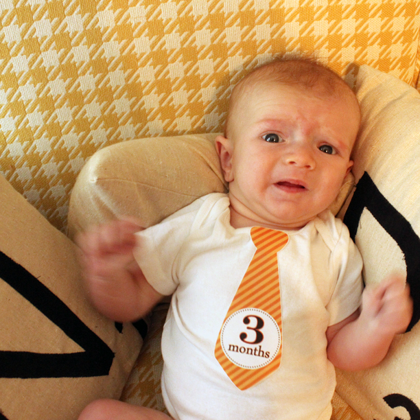 Gatsby is three months old @ohbotherblog