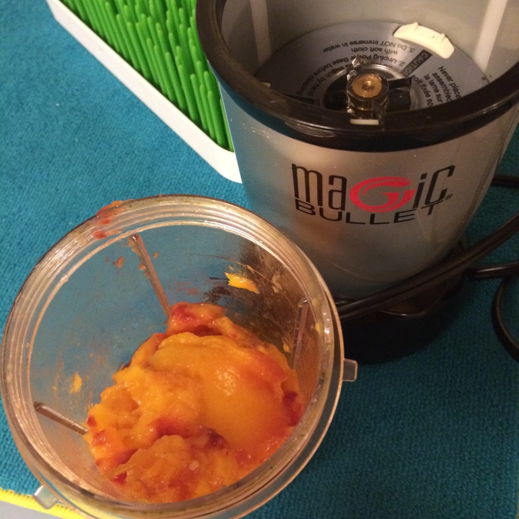 lazy mom's guide to making your own baby food @ohbotherblog