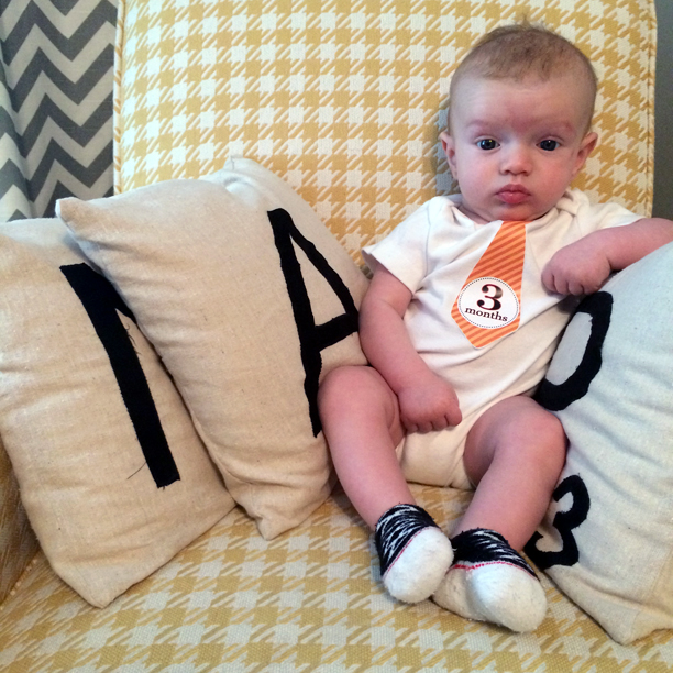 Gatsby is three months old @ohbotherblog